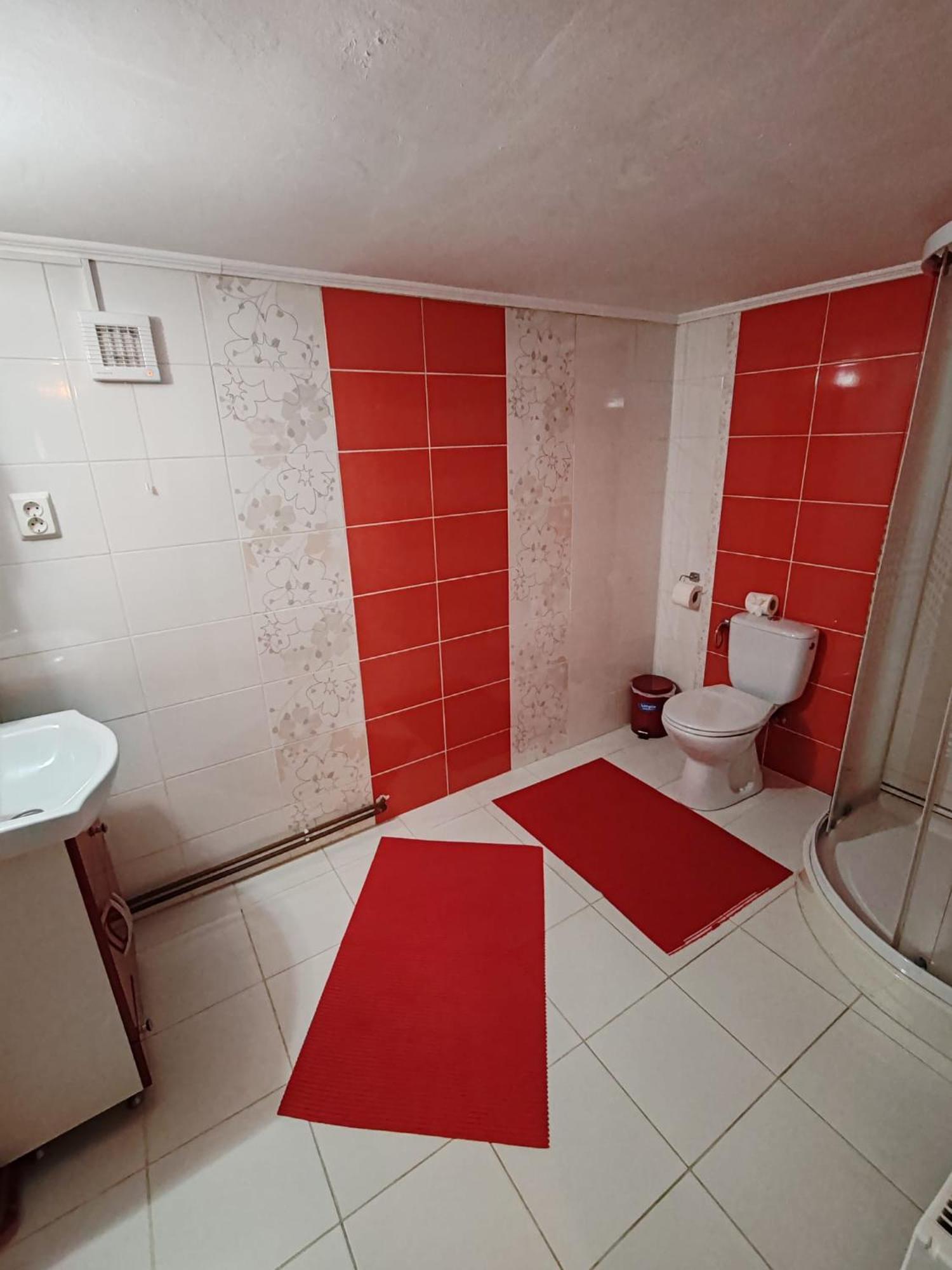 Casa Alex Hotel Toplita  Luaran gambar